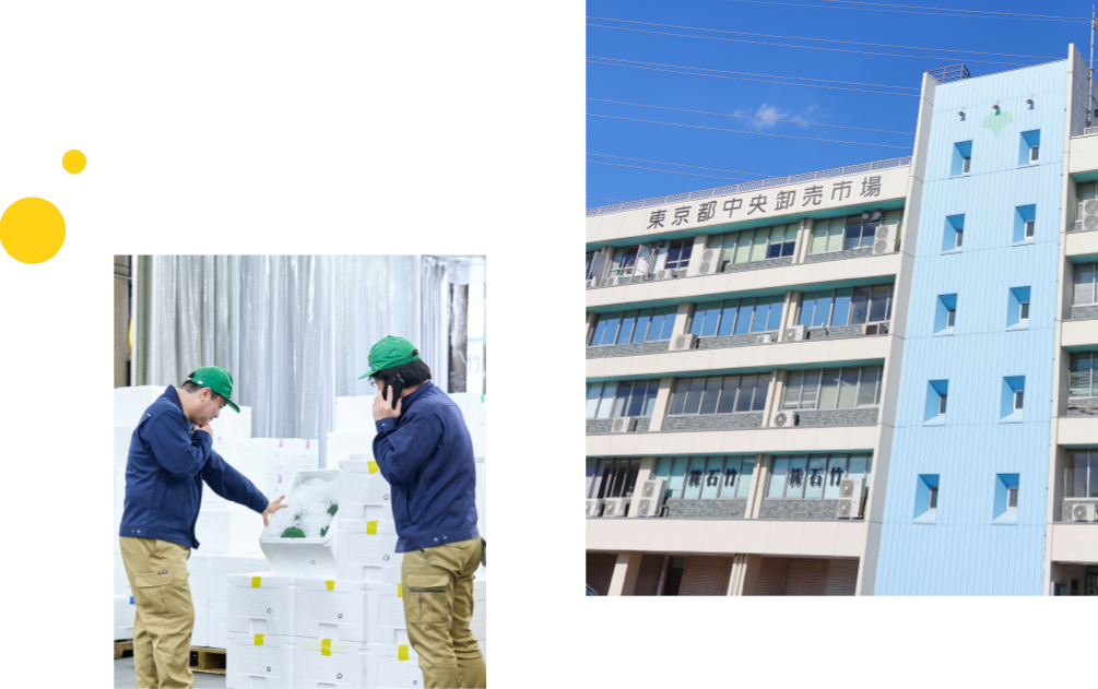 MARKET OVERVIEW 市場について