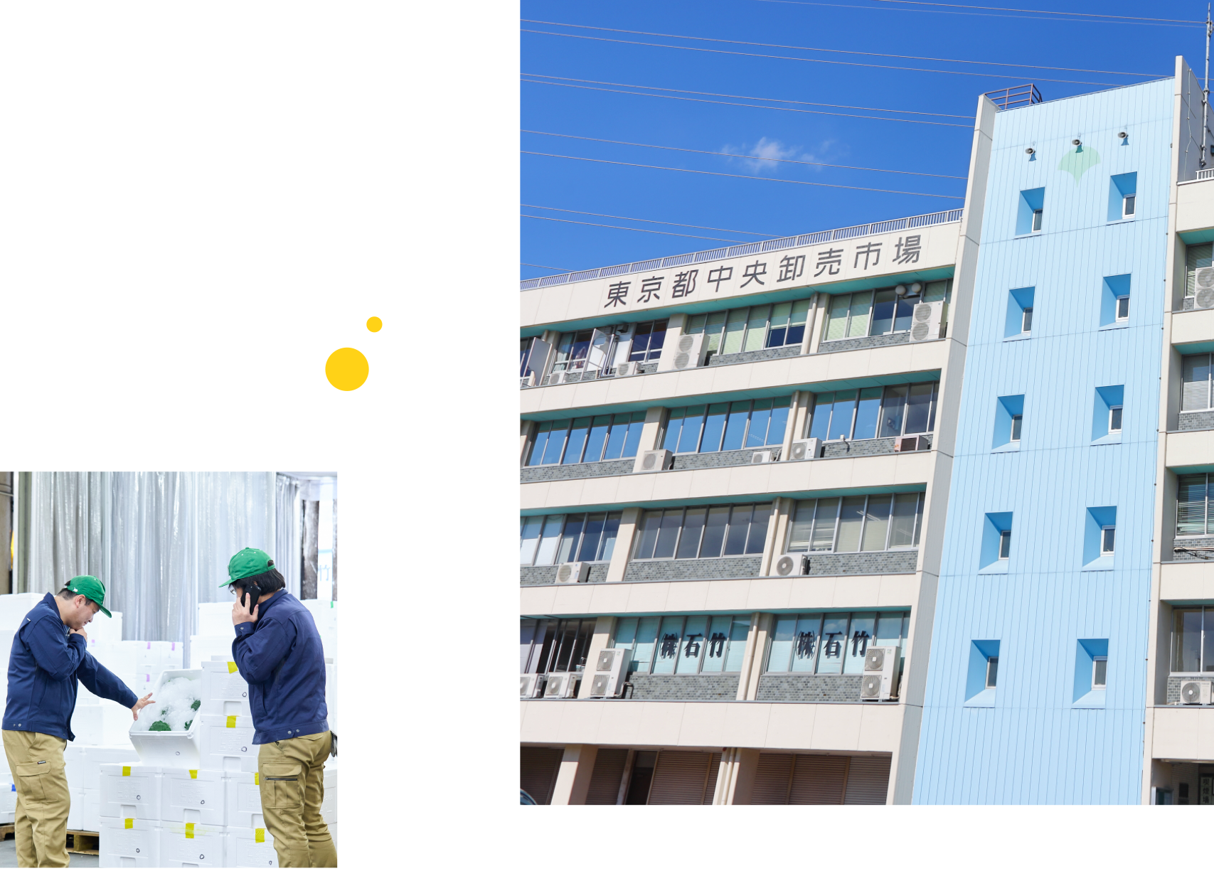 MARKET OVERVIEW 市場について