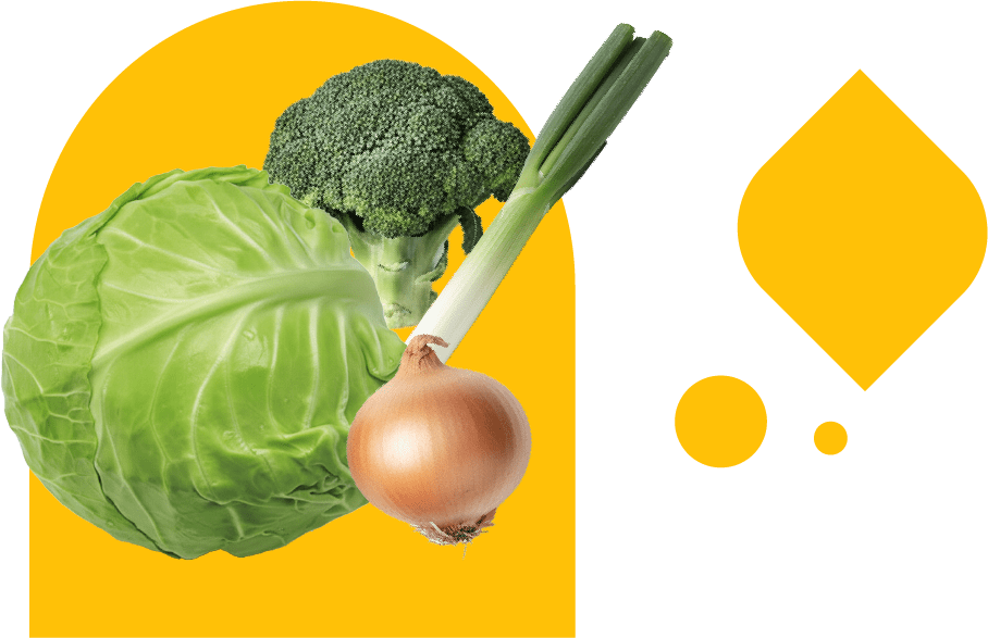 不二 東京富士青果