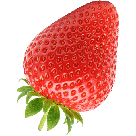 生産者の想いをそのままお届け。