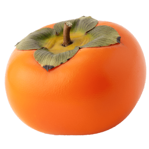 生産者の想いをそのままお届け。