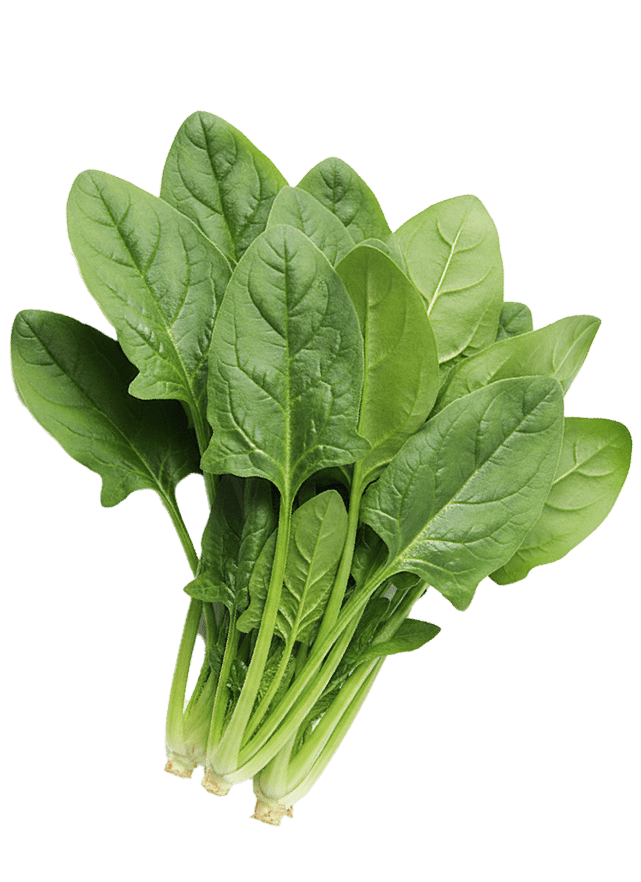 生産者の想いをそのままお届け。