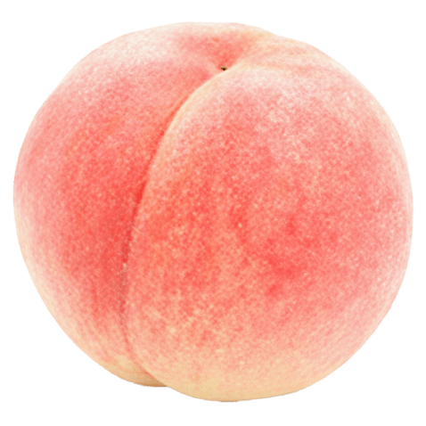 生産者の想いをそのままお届け。