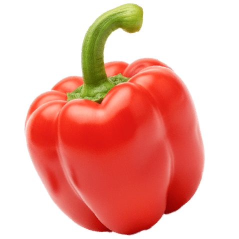 生産者の想いをそのままお届け。