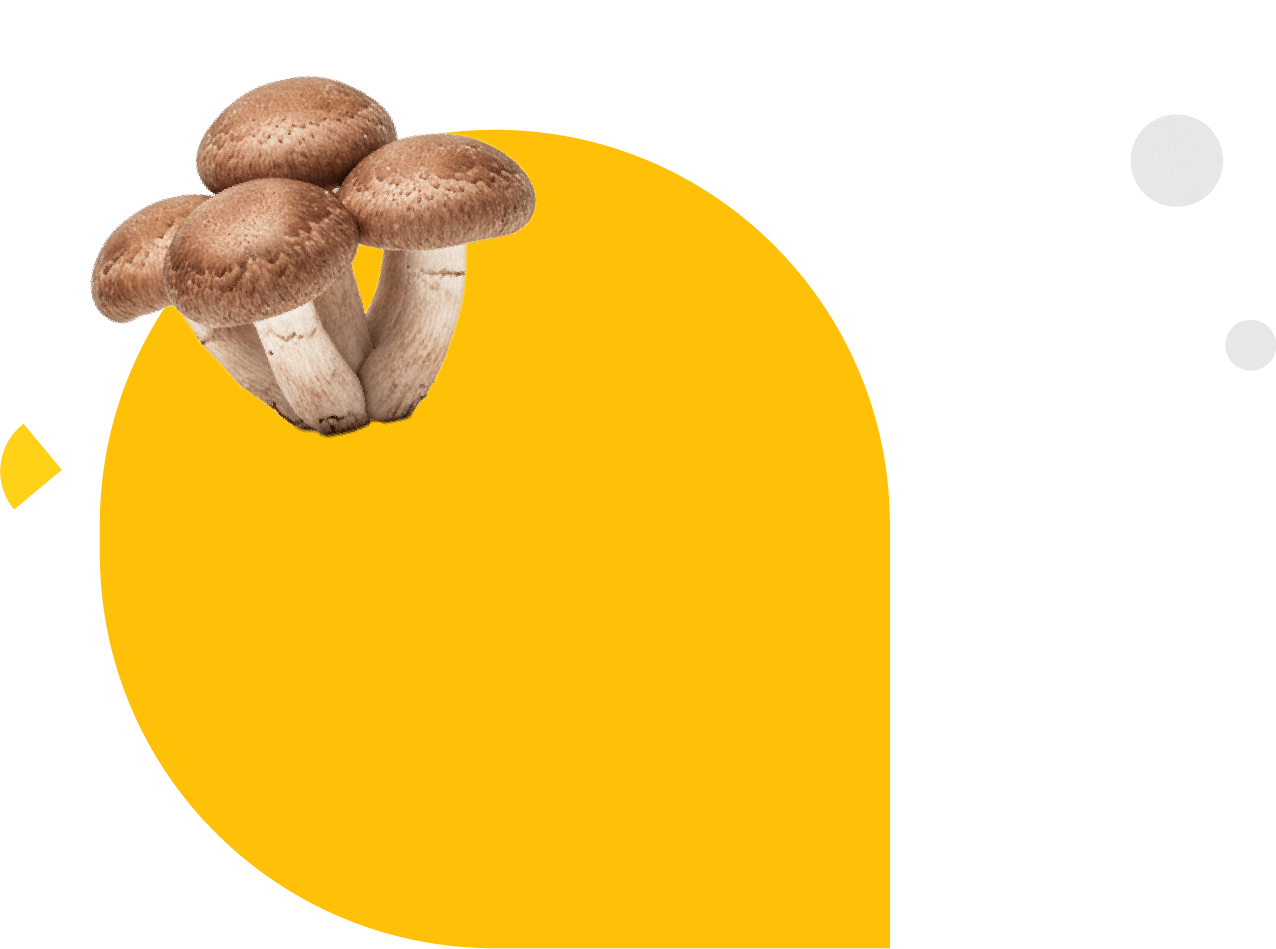 「食」を支える、確かな技術と真心で。