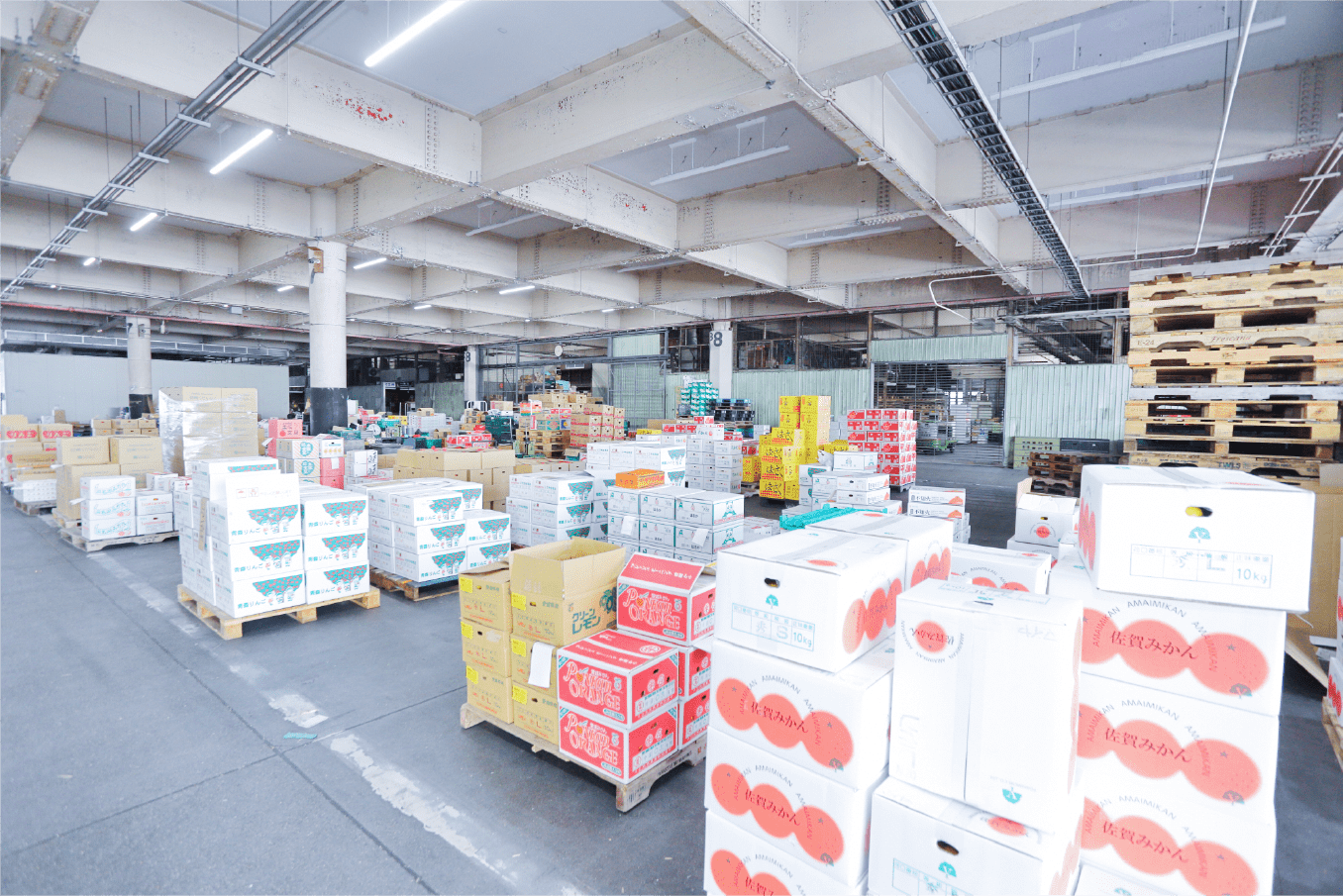 流通ネットワーク