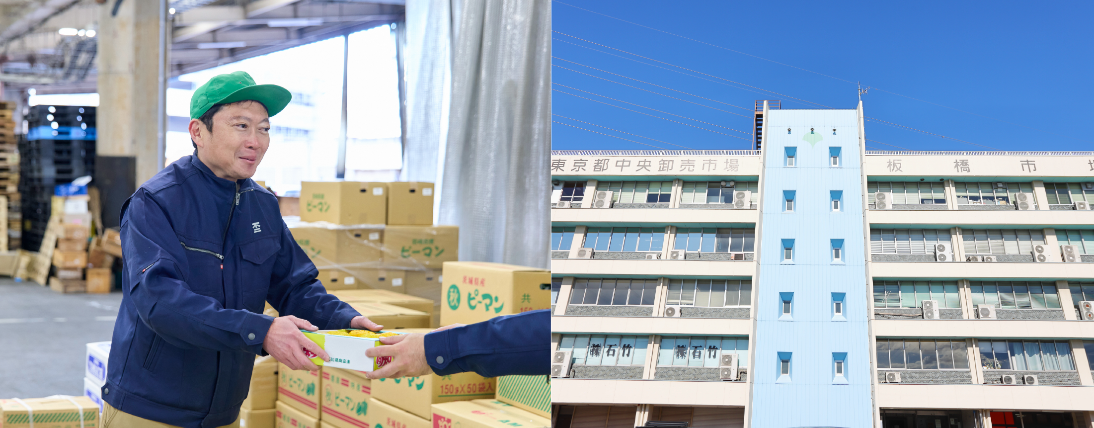 ABOUT ITABASHI MARKET 東京富士青果のフィールド 板橋市場について