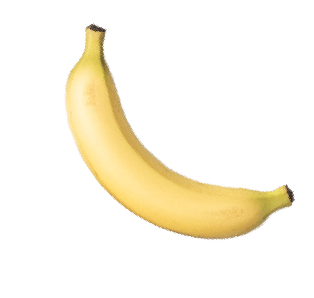 物流インフラに囲まれた機能的な環境