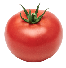 広大な敷地と駐車場完備